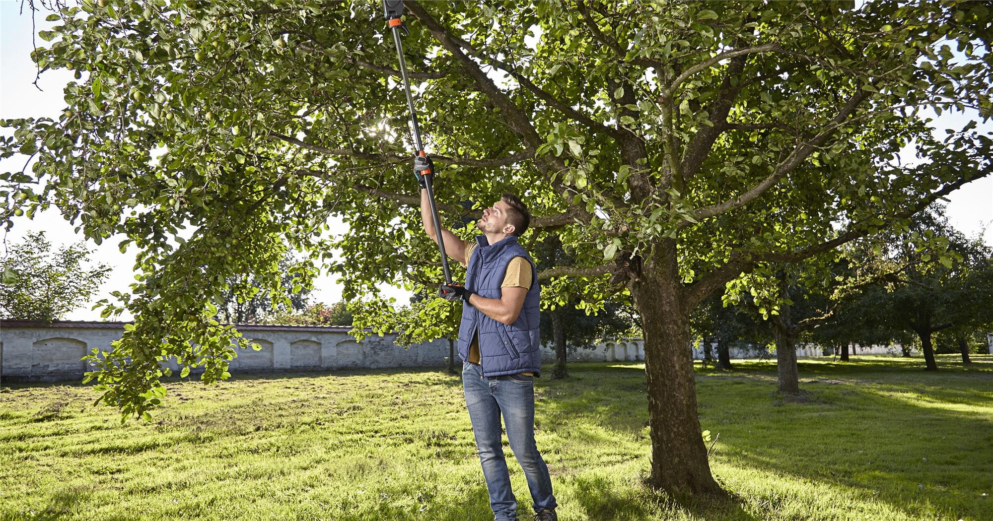 Comment réussir la taille des arbres et fruitiers ? - GARDENA